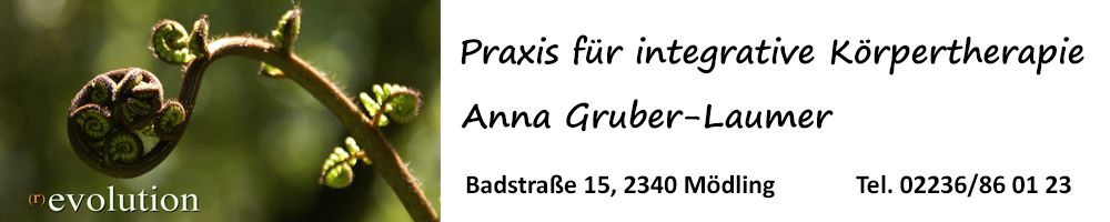 Praxis für integrative Koerpertherapie